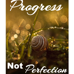 ProgressNotPerfectionTB